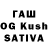 Галлюциногенные грибы GOLDEN TEACHER Fahim Mughal