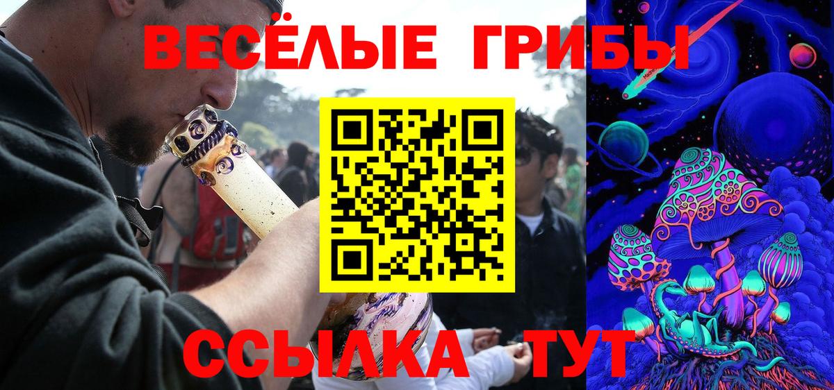 что такое наркотик  Псилоцибиновые грибы прущие грибы  Вход с VPN  Апрелевка 